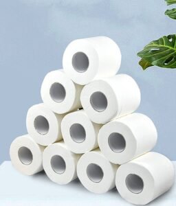 Cheap Recycled Toilet Rolls