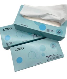Wholesale Custom Logo Box Facial Tissues | Premium Promotional 2-Ply Soft Boxed Tissues for Corporate Branding & Boutique Hotels