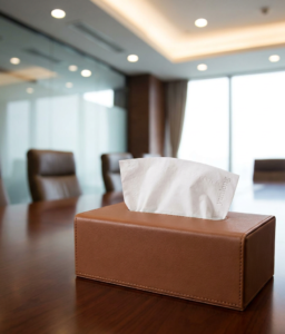Wholesale Executive Office Facial Tissue Boxes | Bulk Premium Cube & Flat Box Commercial Soft Paper Tissues for Corporate Supplies